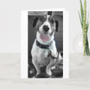 Search for jack russell christmas cards Pets