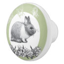 Search for rabbit knobs and pulls White