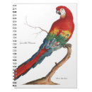 Search for ara Parrot