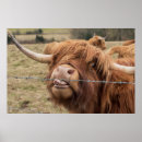 Recherche de vache drôle posters Animaux