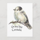 Search for jay vertical postcards Grey