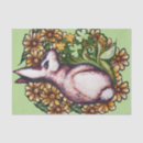 Search for bunny tissue paper Flower