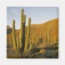 Recherche de emplacement magnets Kevin schafer