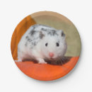Search for hamster plates Cute