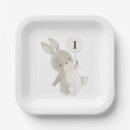 Search for bunny birthday plates Balloon