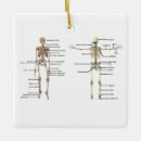 Search for medical ornaments Doctor