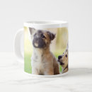 Recherche de chiot berger allemand tasses Mignon