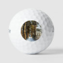 Search for snow golf balls Forest