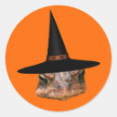 Recherche de toad autocollants Sorcière
