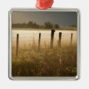 Search for fencing ornaments Barn