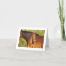 Search for chestnut cards Horses