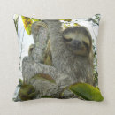 Search for rainforest pillows Amazon