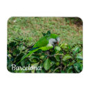 Recherche de perroquet vert magnets Nature