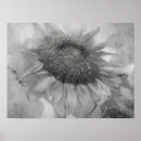 Recherche de blanc gris gris posters Pour elle