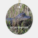Search for alligator ornaments Animal