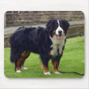 Search for bernese mountain dog electronics Dogs