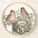 Search for nest coasters Nature