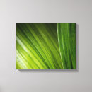 Recherche de feuille abstrait art Feuillage