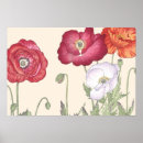 Search for vintage japanese flower posters Woodblock