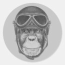 Search for vintage helmet stickers Aviator