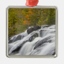 Search for on fork ornaments Chuck haney