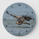 Search for outdoor clocks Bird