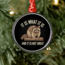 Search for racoon ornaments 2025