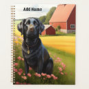 Search for lab office supplies Pets