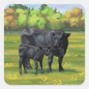 Search for black cow stickers Beef cattle