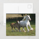 Search for gypsy vanners postcards Running