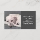 Recherche de humour de bureau cartes visite Simple