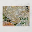 Search for frozen thank you Trees