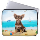 Recherche de mom coques Pet