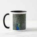 Search for peacock photo mugs Feather