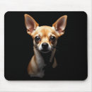Search for computer keyboard magnets Specialoffer