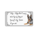 Search for australian cattle dog return address labels Animal