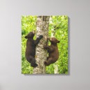 Search for danita delimont canvas prints Gordon illg
