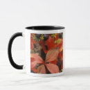 Recherche de westmorland tasses Amérique du nord