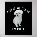 Search for mal posters Dog