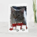 Recherche de maine coon christmas cards Vacances