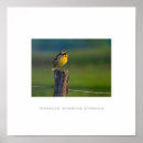 Recherche de mental health posters Motivational