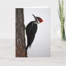 Recherche de pivert vœux cartes Hiver