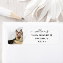Recherche de german shepherd dog Cute