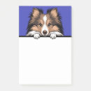 Recherche de sheltie posters Chien mouton shetland