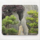 Search for bonsai tree mousepads China