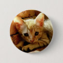 Recherche de little badges Mignon
