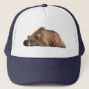 Search for bear baseball hats Grizzly