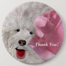 Search for labradoodle buttons Cute