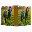 Search for horse photo binders Horses