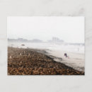 Search for new smyrna beach postcards Florida